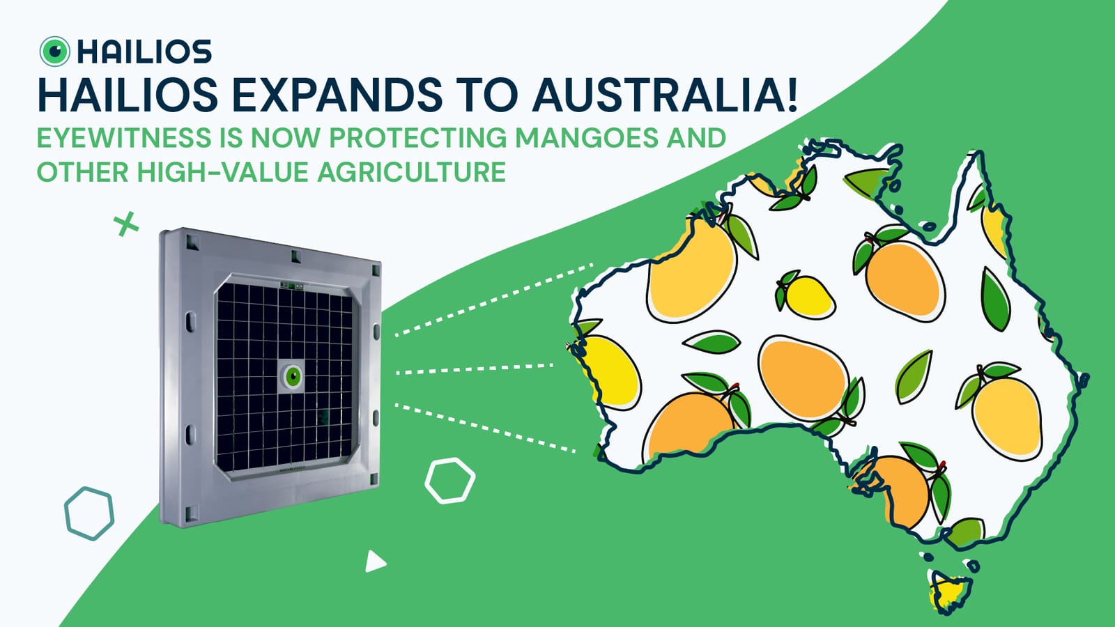 2021 announcement graphic: the Hailios hail sensor beside a map of Australia filled with mangoes, headed Hailios expands to Australia.