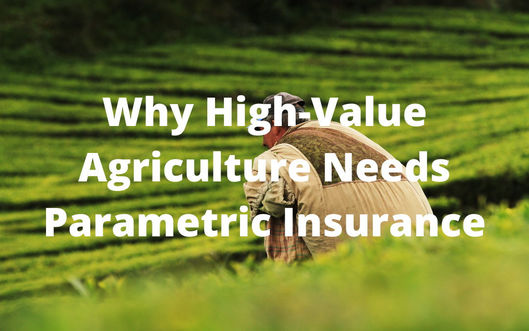 Why High-Value Agriculture Needs Parametric Insurance
