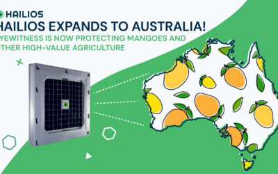 Hailios Expands to Australia, Protecting High-Value Agriculture