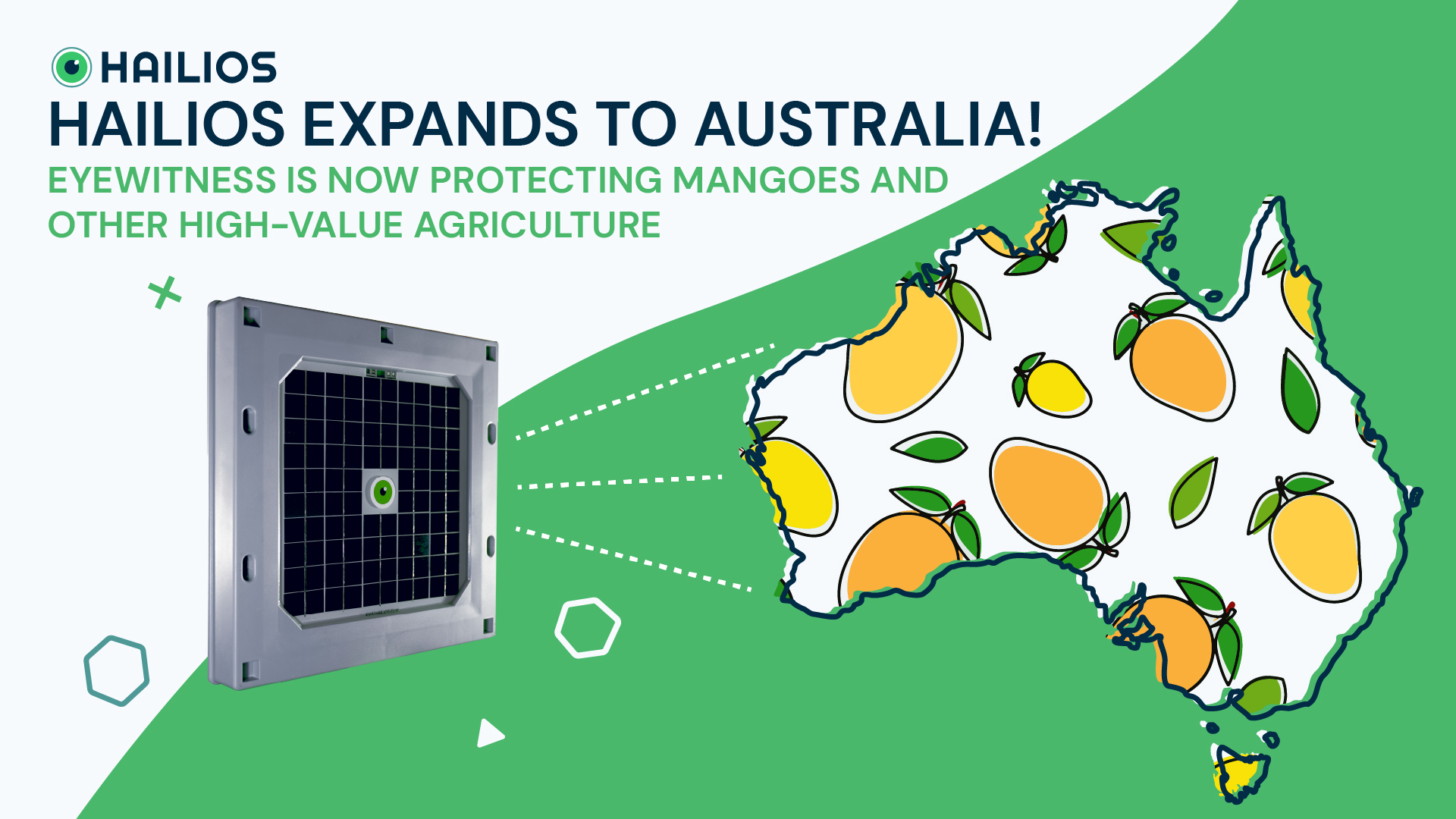 Hailios and their Eyewitness sensor is now protecting mangoes in Australia